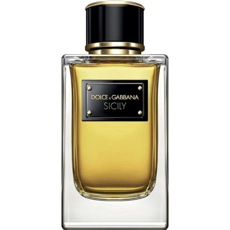 dolce gabbana sicily 100ml|sicily dolce gabbana sephora.